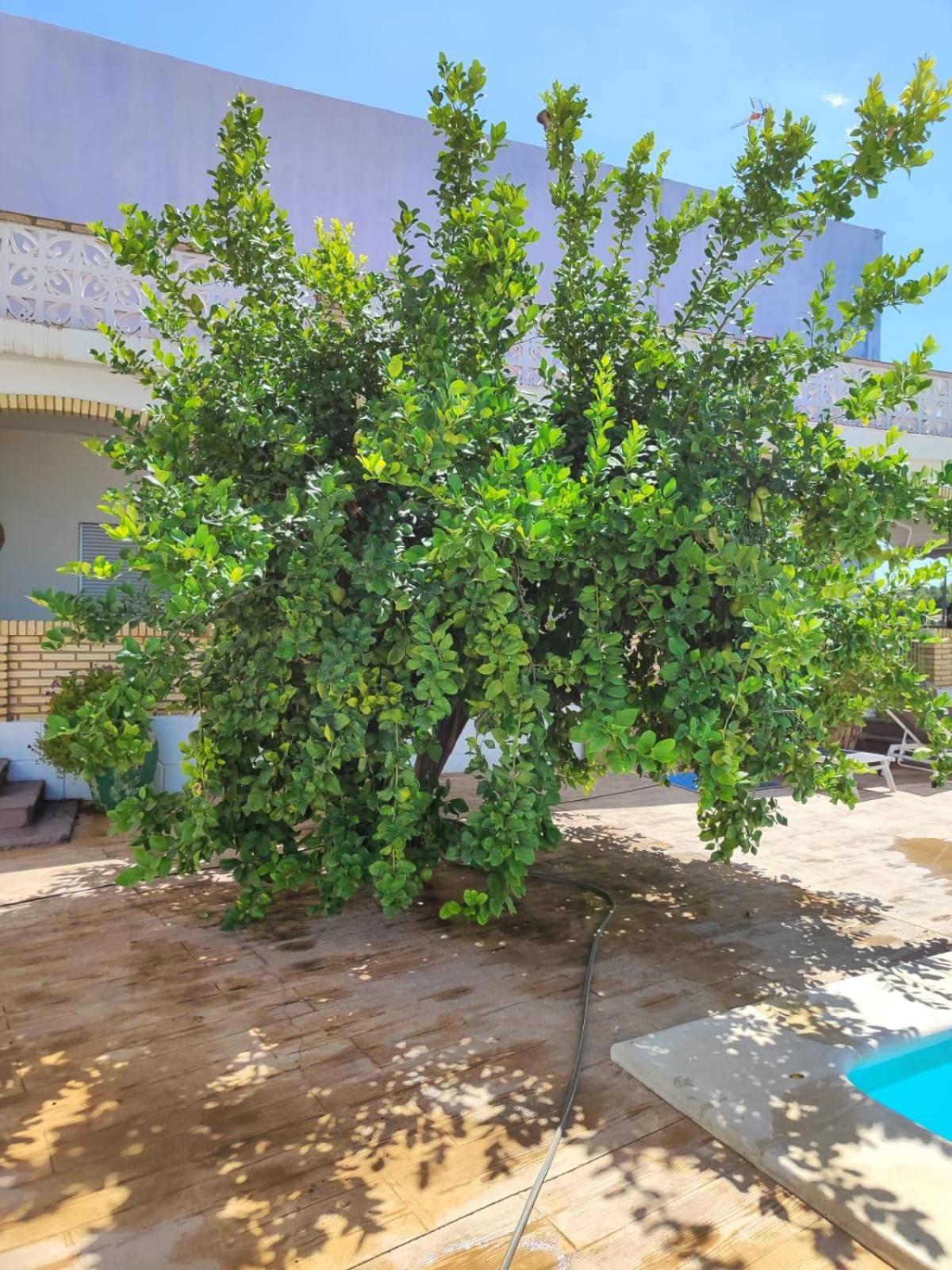 El Recreo, Private Pool & Bbq Villa Godelleta Eksteriør bilde